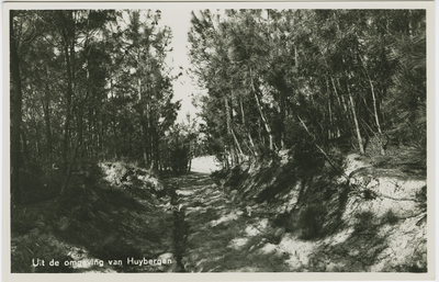 HUY-P-58 Uit de omgeving van Huybergen. Een pad in het bos in de omgeving van Huijbergen