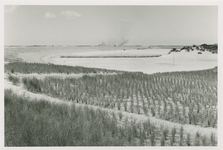 KAM-121 Kamperland, Duinen en nieuwe zeedijk. Banjaardstrand en de Veersegatdam bij Kamperland