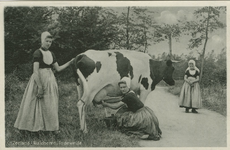 KLD-P-211 Zeeland, Walcheren. In de weide. Een vrouw en twee meisjes in Walcherse dracht aan het koeien melken