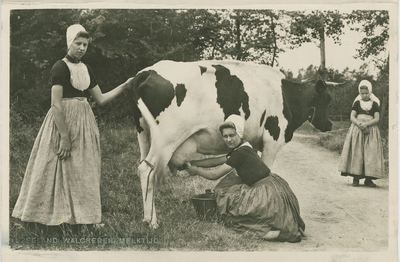 KLD-P-212 Zeeland, Walcheren. In de weide. Een vrouw en twee meisjes in Walcherse dracht aan het koeien melken