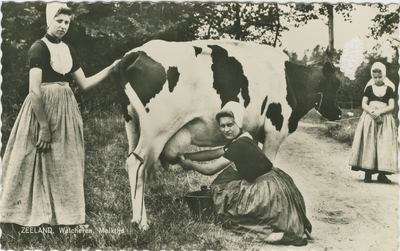 KLD-P-213 Zeeland, Walcheren. In de weide. Een vrouw en twee meisjes in Walcherse dracht aan het koeien melken