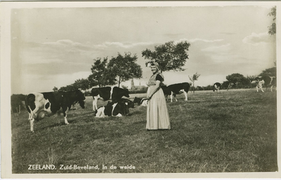 KLD-P-54 Zeeland. Zuid-Beveland, In de weide. Een vrouw in Zuid-Bevelandse dracht in een wei met koeien