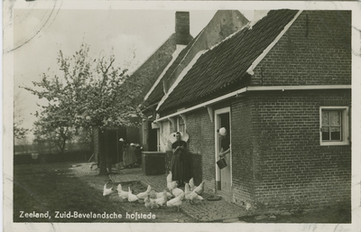 KLD-P-90 Zeeland, Zuid-Bevelandsche hofstede. Twee vrouwen in Zuid-Bevelandse dracht bezig met het voeren van kippen op ...