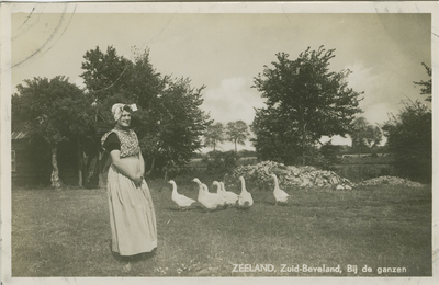 KLD-P-95 Zeeland, Zuid-Beveland, Bij de ganzen. Een vrouw in Zuid-Bevelandse dracht in een wei met ganzen