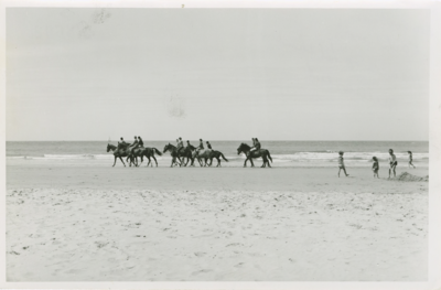 NVL-119 Nieuwvliet, Paarden op het strand. Paarden op het strand bij Nieuwvliet