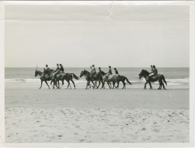 NVL-120 Nieuwvliet, Paarden op het strand. Paarden op het strand bij Nieuwvliet