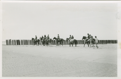 NVL-121 Nieuwvliet, Paarden op het strand. Paarden op het strand bij Nieuwvliet