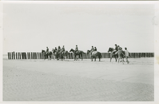 NVL-121 Nieuwvliet, Paarden op het strand. Paarden op het strand bij Nieuwvliet
