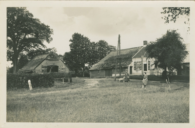 OSD-14 Ossendrecht, Oud Brabantse boerderij. Boerderij te Ossendrecht