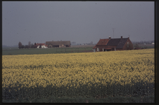 OT-11-45 Landschap in de omgeving van de buurtschap Driewegen bij Terneuzen