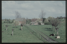 OT-15-40 Een boerderij ten westen van Terneuzen