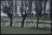 OT-21-33 Landschap in de omgeving van Zaamslag