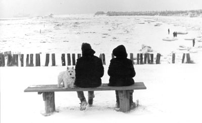 166 NFR Twee mensen met een hond op een bankje aan de zee bij Westkapelle.