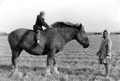 348 NFR Twee kinderen spelen met een boerenpaard op land bij Westkapelle.