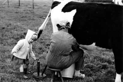 349 NFR Pie Minderhoud melkt een koe in een weiland bij Westkapelle, samen met haar dochter Klara.