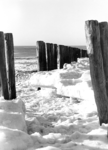 419 NFR Paalhoofden met ijs ertussen op het strand bij Westkapelle.