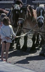44-DIA Twee meisjes bij Zeeuwse trekpaarden tijdens het ringrijden op de Markt te Westkapelle