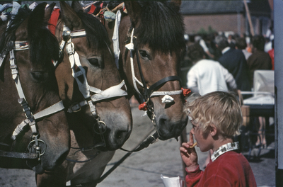47-DIA Zeeuwse trekpaarden tijdens het ringrijden op de Markt te Westkapelle