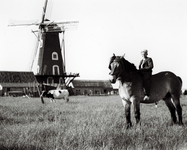 560 NFR Een jongen te paard met op de achtergrond molen De Noorman in Westkapelle.