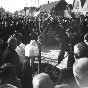 58 NFR Prinses Juliana plant een boom aan het eind van de Zuidstraat te Westkapelle.