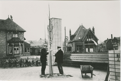 574 De Beatrixboom bij de burgemeester Huizinga bank aan de Axelsestraat te Terneuzen