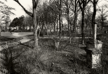 1846 Een deel van de oude begraafplaats aan de Koudekerkseweg. Links op de achtergrond de Vrijdomweg