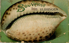 645 'Souvenir from Vlissingen'. Afbeelding van een schelp