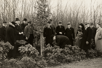 7289 Planting van een Juliana-eik in het Nollebos, t.g.v. het huwelijk op 7 jan. 1937 van Prinses Juliana met Prins ...