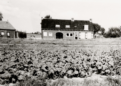 7528 Boerderij van J.A. Osté, Nieuwlandseweg 5 te Ritthem