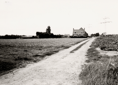 7539 Boerderij Nieuwerve (voorzijde) aan de Zandweg te Ritthem