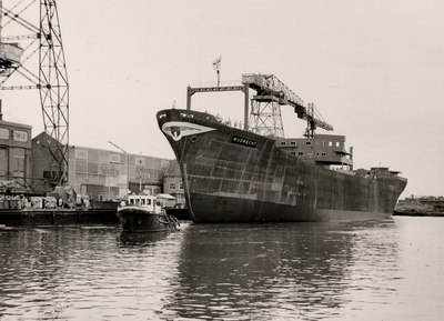 8552 Kon. Mij. de Schelde, tewaterlating van de 'Mijdrecht', turbine-tanker op 31 juli 1954.Bouwnr.: 278, bouwjaar: ...