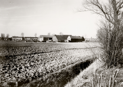 9829 Boerderij aan de Visodeweg 2 te Ritthem, van de gebr. Jasperse