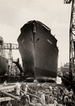 9991 Kon. Mij. De Schelde, tewaterlating van het vrachtschip Kinderdijk op 17 september 1955. Bouwnr. 280, bouwjaar ...