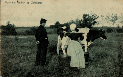 13097 'Voor het Melken op Walcheren.' Boerin en boer bij koe in weiland