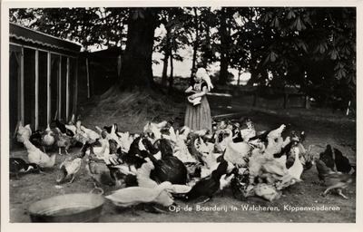 13247 'Op de Boerderij in Walcheren, Kippenvoederen' Een meisje in klederdracht voert de kippen