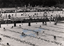 13691 Zwemmen in het Sportfondsenbad (zwembad) aan het Baskensburgplein.