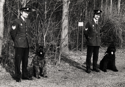 14700 De Vlissingse politie heeft sinds kort beschikking over 2 honden, de bouviers Robbie en Oskar. Agent Van Rossum ...