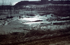 18967 Tweede Wereldoorlog. De toestand in het Nollebos na de inundatie