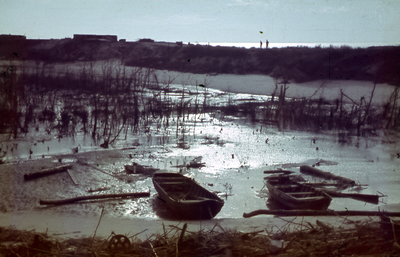 20268 Tweede Wereldoorlog. De toestand van het Nollebos achter de Nolledijk na de inundatie