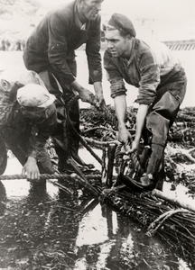21581 Tweede Wereldoorlog. Dichting van het gat in de Nolledijk na het bombarderen van de dijk op 7 okt. 1944