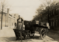 22752 Een Walcherse groentevrouw met trekhondenkar in de Verkuijl Quakkelaarstraat. A. Bostelaar, Oost- en ...