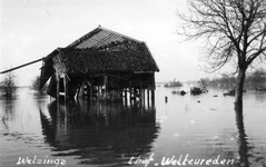 25757 Tweede Wereldoorlog. Welzinge 't hof Weltevreden in Souburg na de inundatie van Walcheren in oktober 1944