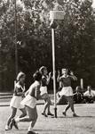 28167 Districtskorfbaltoernooi op de sportvelden aan de Baskensburgseweg, georganiseerd door de korfbalvereniging Vedo ...