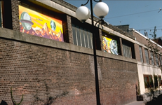 38008 Schilderijen van kunstschilder Frans Maas in de Walstraat, op de muur van de voormalige smederij van de Kon. Mij. ...