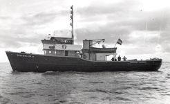 39981 Loodswezen, motorafhaalboot Zeezwaluw (tender). Gebouwd in 1946