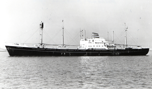 40116 Proefvaart februari 1956 van het vrachtschip Kinderdijk, gebouwd door de Kon. Mij. De Schelde voor de Holland ...
