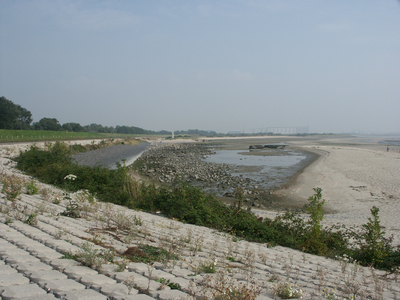 40826 Het strand en de dijk ter hoogte van Rammekenshoek omgeving Ritthem