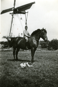 44418 Piet Versteeg te paard voor de korenmolen te Ritthem. De stellingmolen is gebouwd in 1880. In verval geraakt na ...