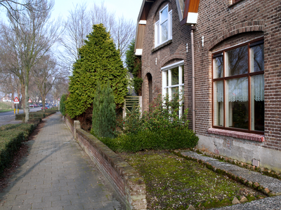 49514 Oost-Souburg, de Bermweg