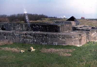 51340 De restanten van Fort de Ruyter aan de oostzijde van de Buitenhaven.